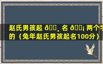 赵氏男孩起 🌸 名 🐡 两个字的（兔年赵氏男孩起名100分）